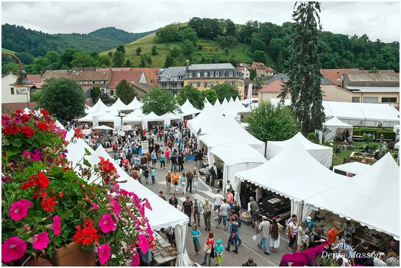 Fossilien_Verkaufen_St.Marie_impression