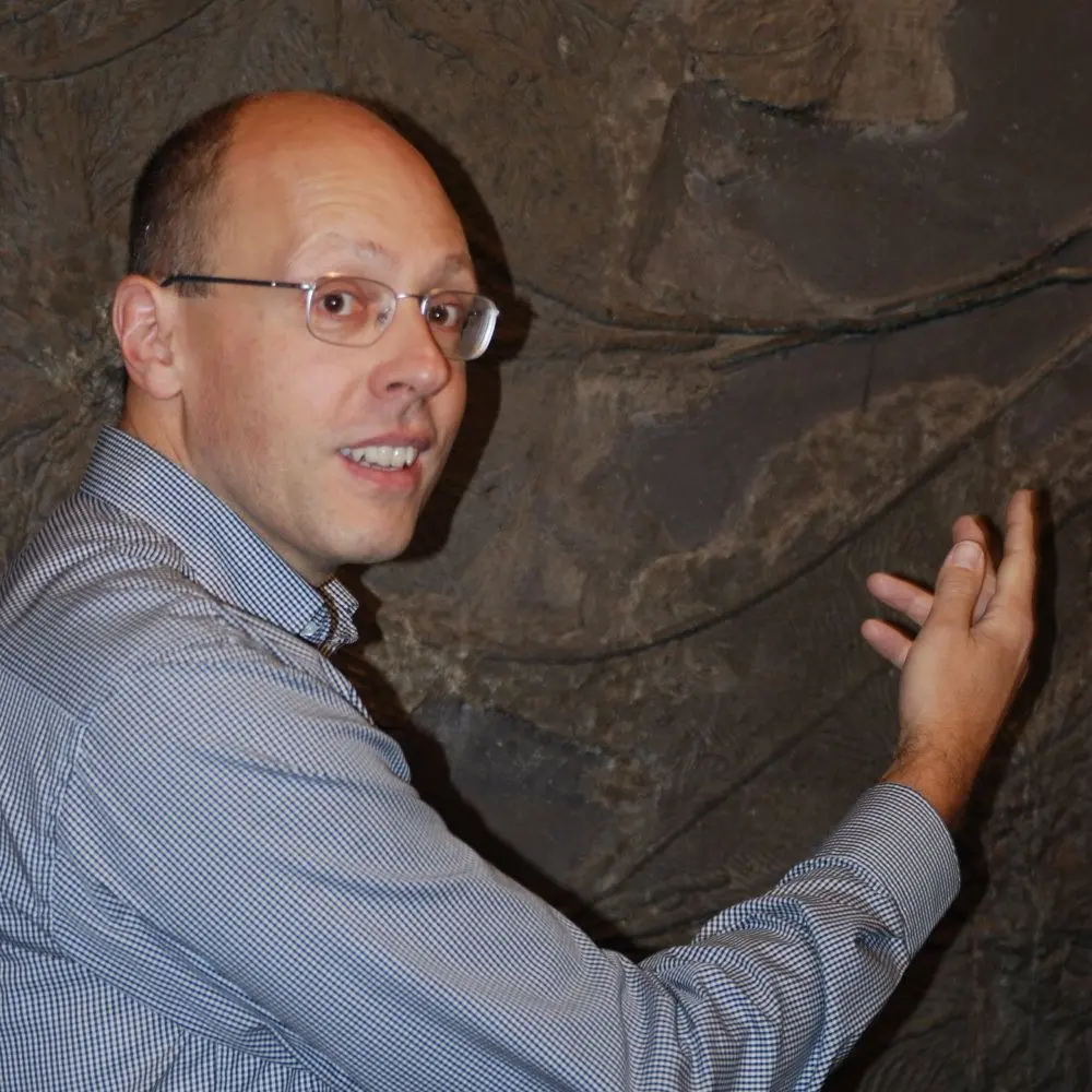 Fossilien Ankauf: Kontakt Fossilien Ankauf: Kontakt