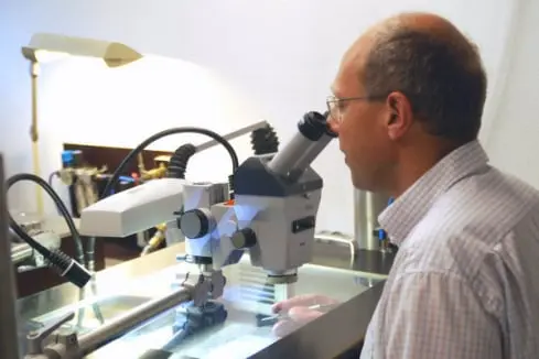 Fossilienankauf_Praeparation Fossilienankauf_Praeparation